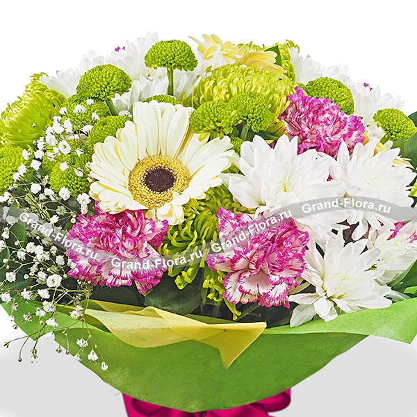 Зеленая долина - букет из гербер, хризантемы и гвоздики